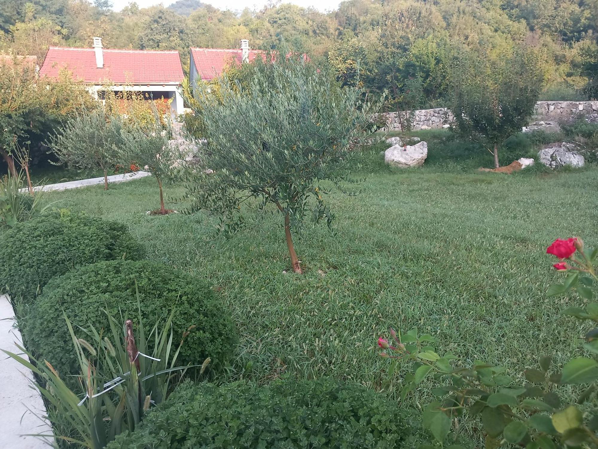 Rustic Village House 4 Rijeka Crnojevića Dış mekan fotoğraf